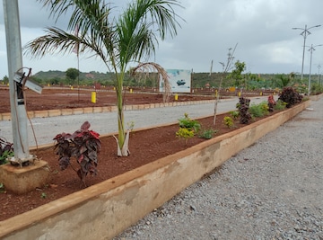 Plot For Resale in Budhera Hyderabad  7264878