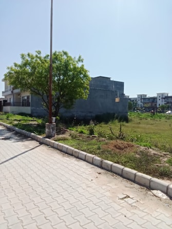 Plot For Resale in Sector 107 Mohali  7264991