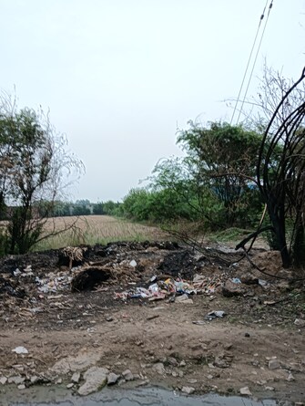 Commercial Land 1000 Sq.Yd. For Resale in Mundka Delhi  7265337