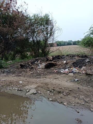 Plot Area in  Land at Mundka – for Sale