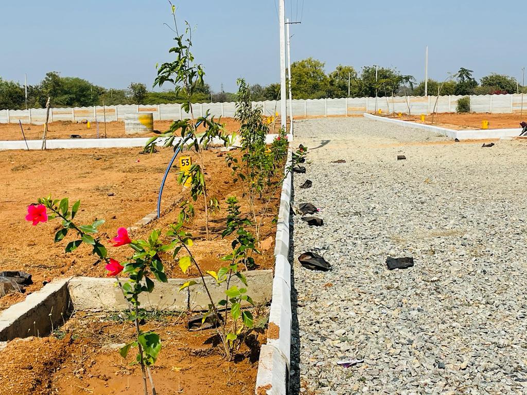 Plot For Resale in Vasavi Archana White Lotus Kethireddipally Hyderabad  7265738