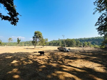 Plot Area in  Plot at Prem Nagar – for Sale