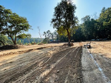 Plot Area in  Plot at Prem Nagar – for Sale