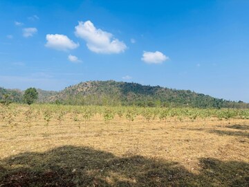 Plot Area in  Plot at Dehradun Cantt – for Sale