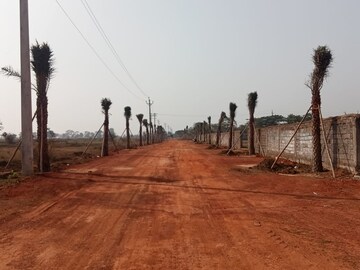Plot Area in  Plot at Dhamtari Road – for Sale