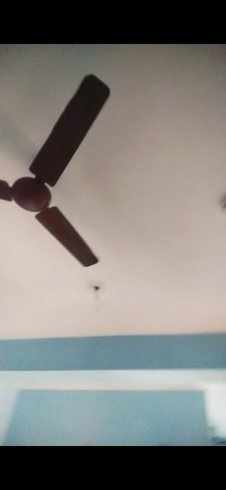 undefined, ace-platinum 2 Bedroom 1250 Sq.Ft. Apartment In Zeta I Greater Noida Greater Noida 7266857