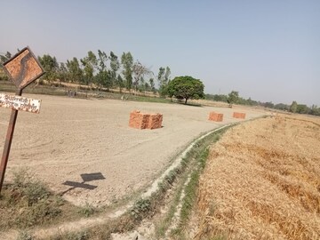 Plot Area in  Plot at Nagram Road – for Sale