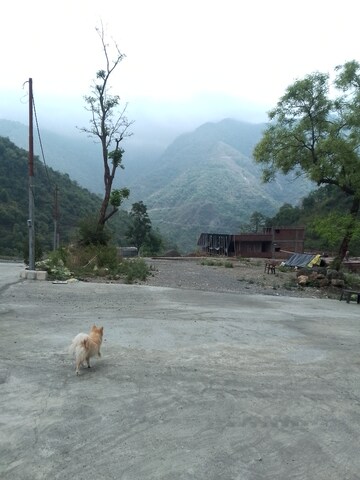  Plot – Exterior View View at Sahastradhara - for Sale
