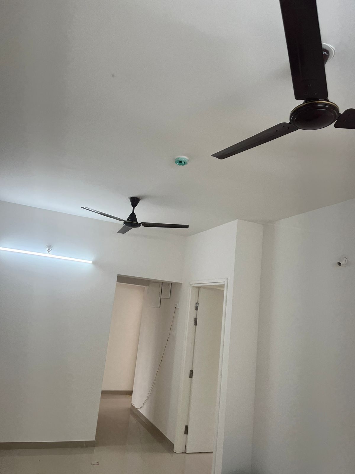 2 BHK Apartment For Rent in Majestique Nest Building A Fursungi Pune  7268092