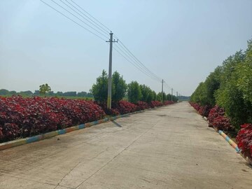  Plot – Garden View at Ayinada - for Sale