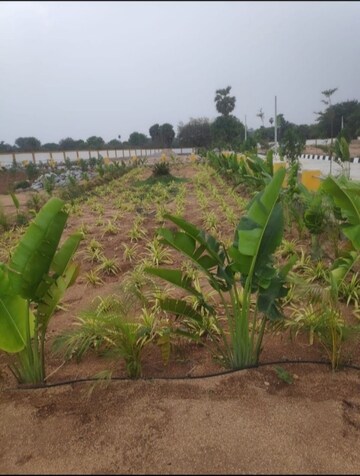  Plot – Garden View at Siyora Shakthi County, Mahadevpur Colony - for Sale