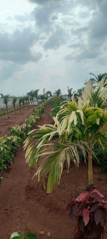  Plot – Garden View at Mangalagiri - for Sale