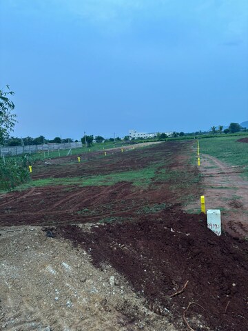 Plot Area in  Plot at Mangalagiri – for Sale
