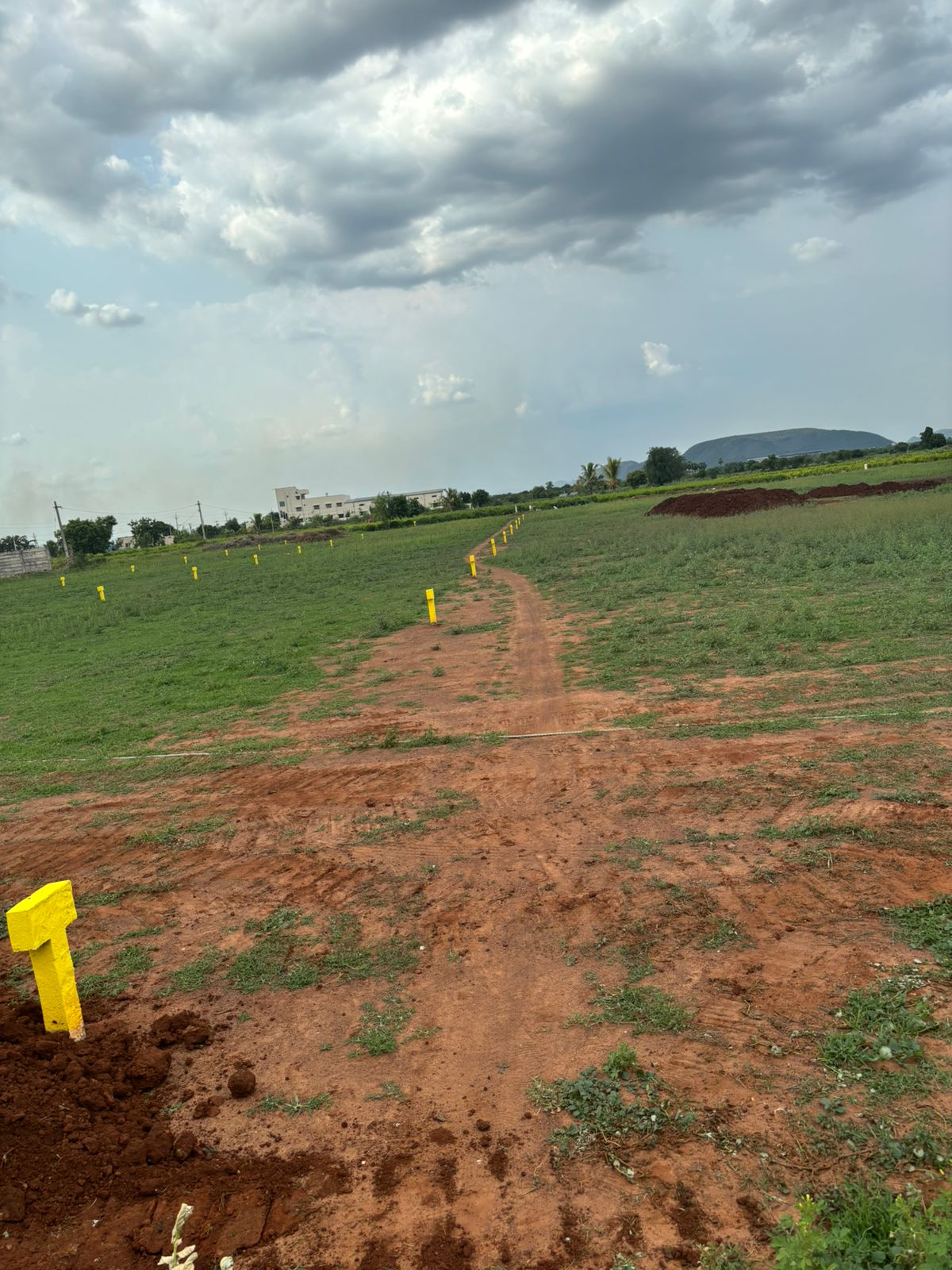 Plot For Resale in Mangalagiri Vijayawada  7268642