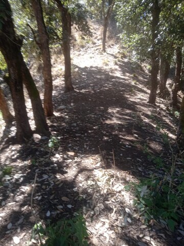  Land – Garden View at Mussoorie - for Sale