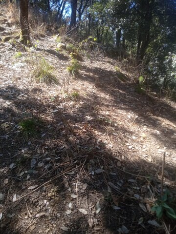 Plot Area in  Land at Mussoorie – for Sale