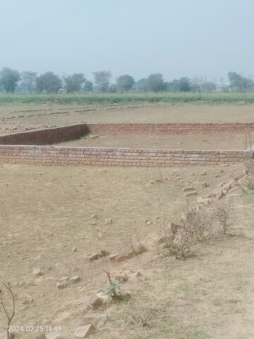 Plot Area in  Plot at Omega Ii Greater Noida – for Sale
