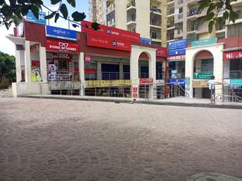 Commercial Shop 440 Sq.Ft. For Resale in Sector 137 Noida  7268885