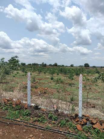 Plot For Resale in Narayankhed Hyderabad  7269254