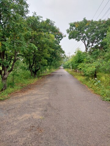 रेसिडेंशियल प्लॉट वर्ग यार्ड फॉर रीसेल इन तट्टी अन्नाराम हैदराबाद  7269348