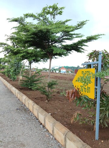  Plot For Sale in Budhera