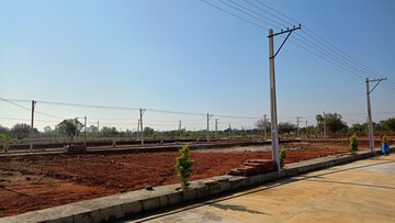 Plot Area in  Plot at Budhera – for Sale