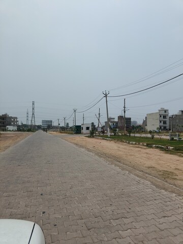  Plot For Sale in Sector 115