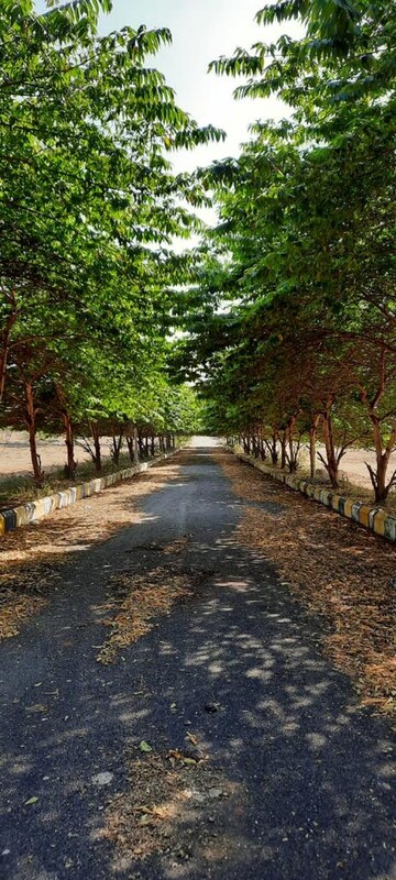 Plot Area in  Plot at Ibrahimpatnam – for Sale