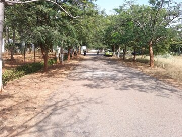 Plot Area in  Plot at Chandapura Anekal Road – for Sale