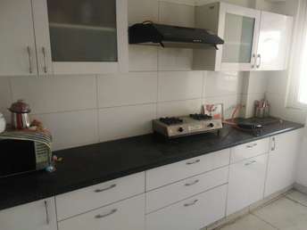 3 BHK Apartment For Rent in Royale Gardens Premium Patiala Road Zirakpur  7270230