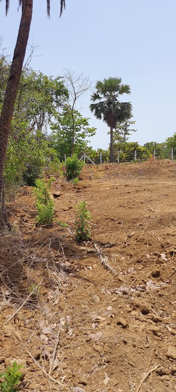 Plot Area in  Plot at Oswal Dream City, Palghar – for Sale