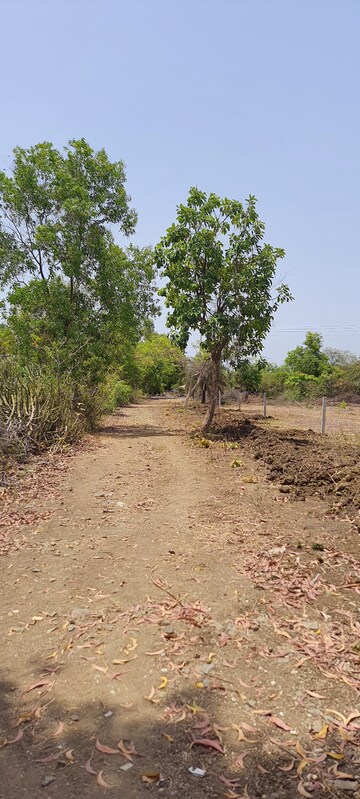 Plot Area in  Plot at Oswal Dream City, Palghar – for Sale