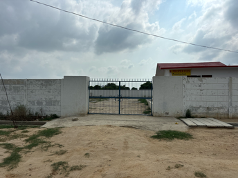 Commercial Land 600 Sq.Yd. For Resale in Yex Sector 19 Greater Noida  7270946