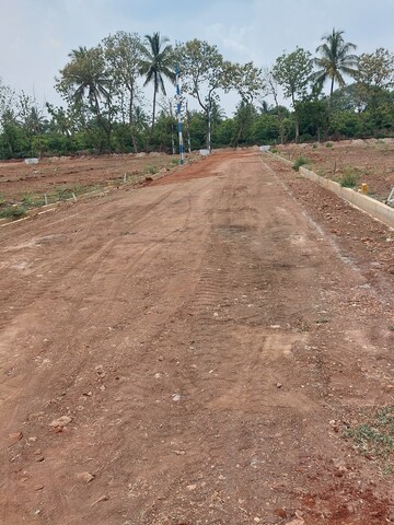 Plot Area in  Plot at Suthgatti – for Sale