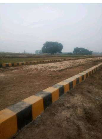 Plot For Resale in Faizabad Road Lucknow  7271091