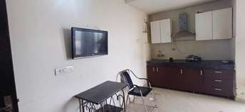 1 BHK Apartment For Rent in Ambala Highway Zirakpur  7271511