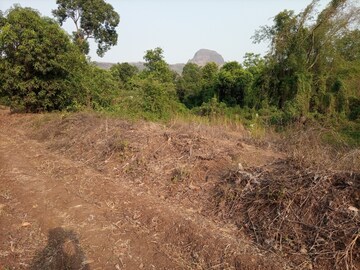 Plot Area in  Plot at Rasayani – for Sale