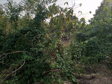  Plot – Garden View at Rasayani - for Sale