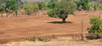  Plot For Sale in New Panvel