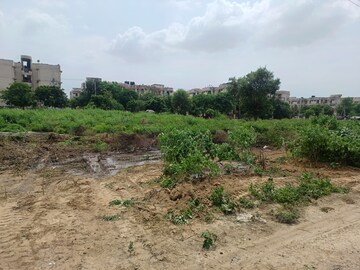 Plot Area in  Plot at Sector 65 – for Sale