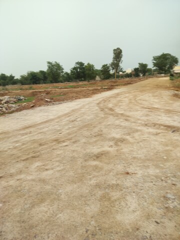 Plot For Resale in Unique Life Ramchandpura Jaipur  7272265