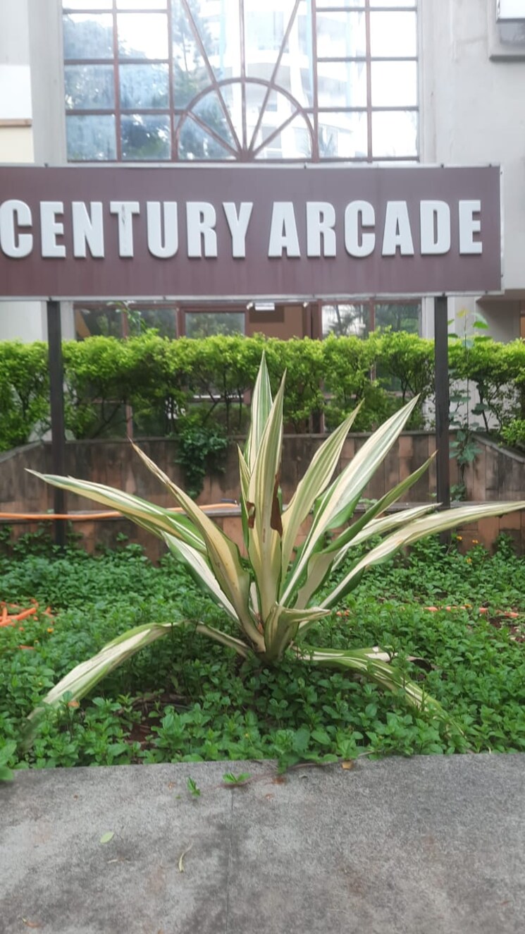 Exterior View, century-arcade Commercial Office Space 300 Sq.Ft. In Sangamvadi Pune 7272305