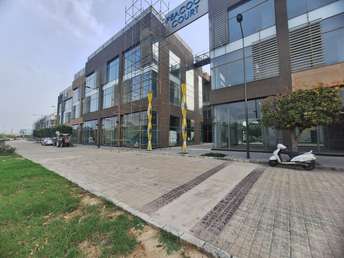 Commercial Showroom 2500 Sq.Ft. For Resale in Sector 32 Noida  7272599