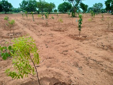 Plot Area in  Plot at Sai Towers Uppal, Uppal – for Sale