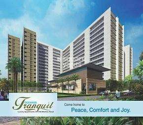 2 BHK Apartment For Rent in Oceanus Tranquil Apartment Margondanahalli Bangalore  7273320
