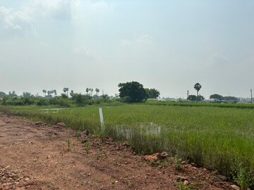 Plot Area in  Plot at Sree City Legend, Kankipadu – for Sale