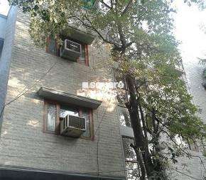 3 BHK Builder Floor For Rent in RWA Saket Block J Saket Delhi  7275643