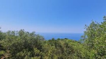 Plot Area in  Plot at Sirlim – for Sale