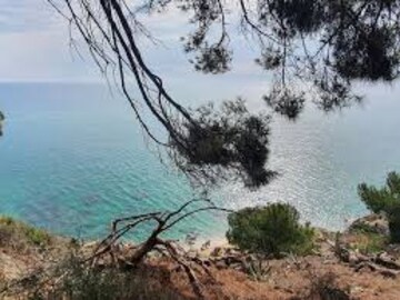Plot Area in  Plot at Kadamba Plateau – for Sale