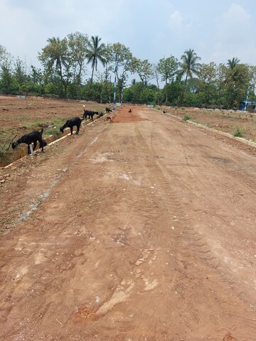 Plot Area in  Plot at Suthgatti – for Sale